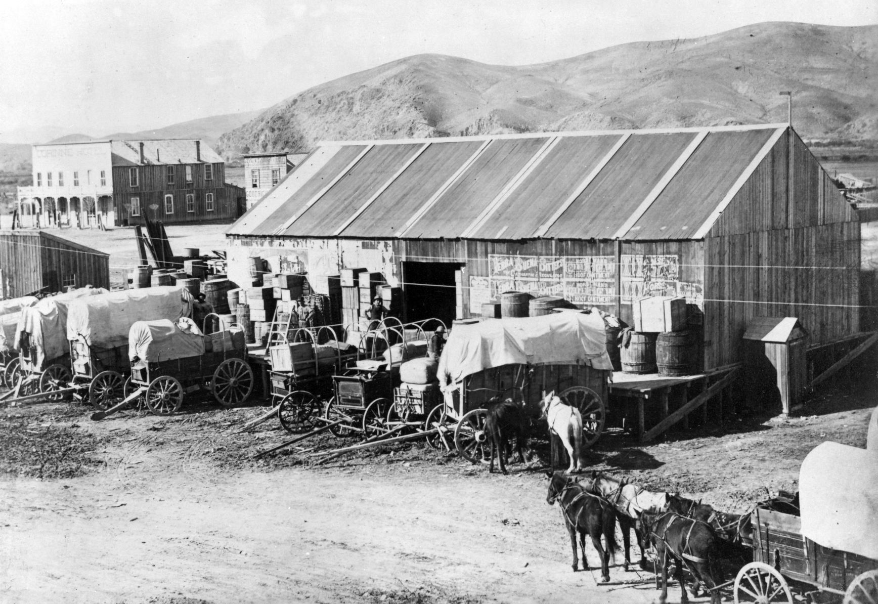 Dillon, 1884